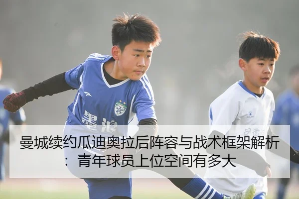 man-cheng-xu-yue-gua-di-ao-la-hou-zhen-rong-yu-zhan-shu-kuang-jia-jie-xi-qing-nian-qiu-yuan-shang-wei-kong-jian-you-duo-1-279.jpg